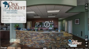 Virtual Tour Branding Delivers Better SEO Return On Investment