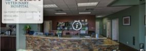 SUPERCHARGE YOUR VIRTUAL TOUR WITH BRANDING AND HOTSPOTS